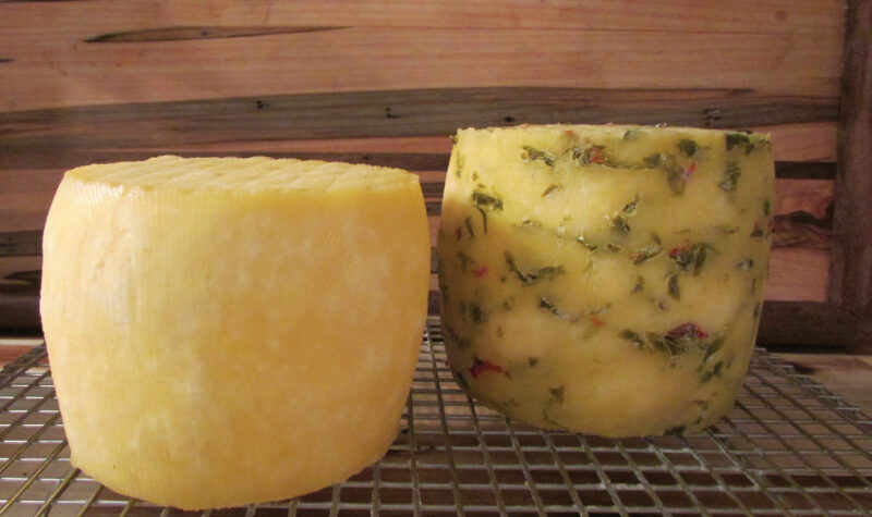 How to Make Monterey Jack Cheese